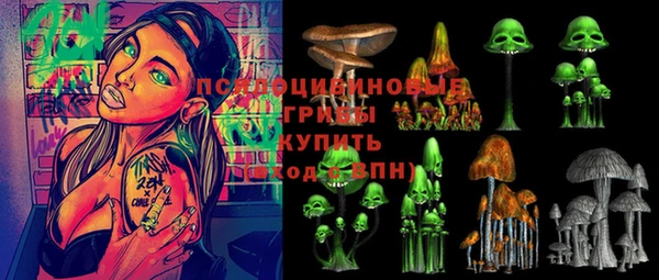 винт Армянск