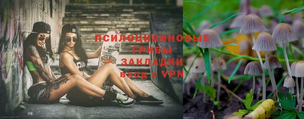 винт Армянск