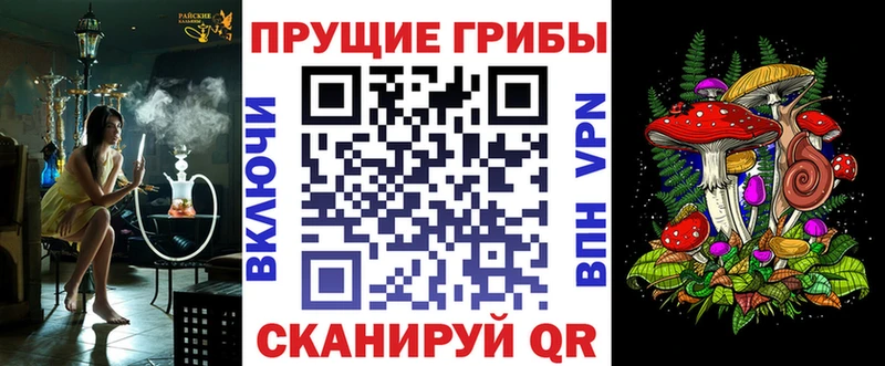 Псилоцибиновые грибы Psilocybine cubensis Советский