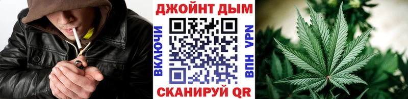 Каннабис сатива  Советский 